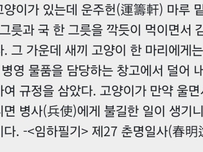 조선시대에 있던 의외의 병과