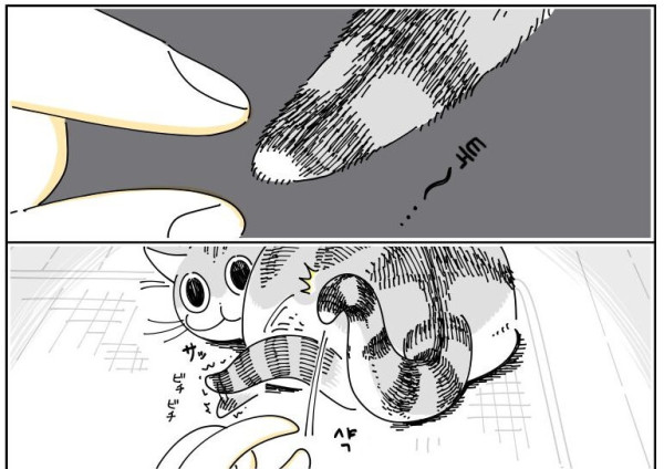 btaeae8315c42944c7ee1af2fd497def69.png