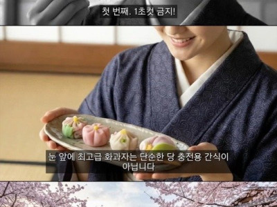 교토에서 화과자 먹을 때 지켜야하는 예절.jpg
