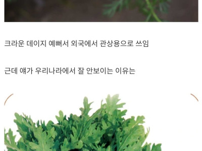 우리나라에 자생도 하고 멸종위기종도 아닌 꽃이 잘 안보이는 이유