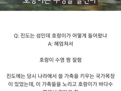 의외로 호랑이가 자주 출몰했던 한반도 지역