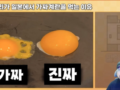 일본에서 우리가 가짜 계란을 먹는 이유