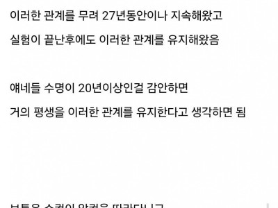 완전 순애 그 자체인 동물