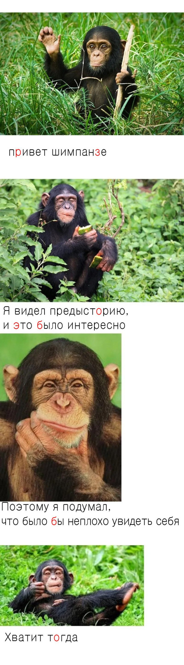 bt31f18df248e08620b4d2f41e07571a46.jpg