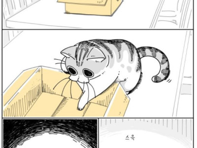 리얼하게 귀여운 고양이 만화.manhwa