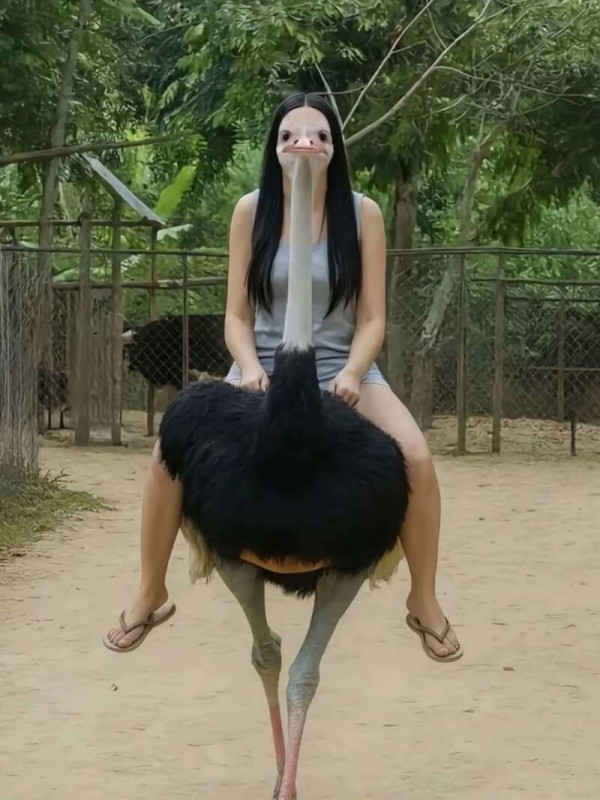 btaee7a7dfe4aaf15df1193465e225ca14.jpeg