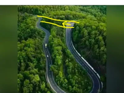 외국에서 유행했던 Why 밈