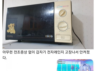 금성전자 제품이 절대 튼튼한게 아님