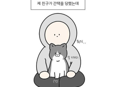 고양이에게서 간택당했는데 2주후 6마리가 된 만화