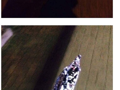 닭꼬치 가지고 가다 순찰돌던 경찰한테 걸린 썰.JPG