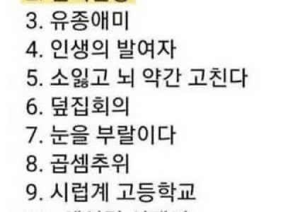 맞춤법 파괴 몇개