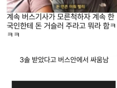 페루에서 아주머니들이 대신 싸워주심
