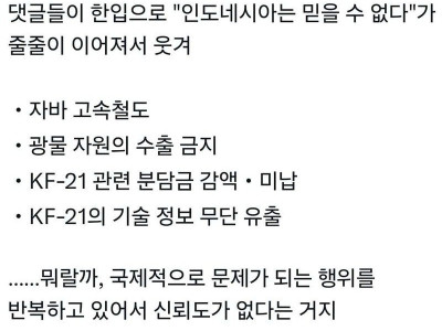 인도네시아가 성공시킨 한중일 동맹.jpg
