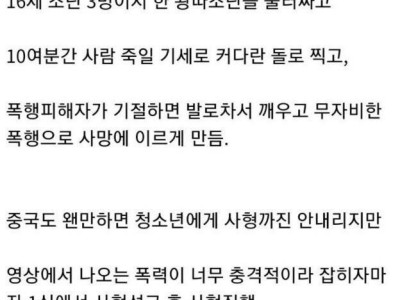 16살 아이를 1심 선고후 바로 사형에 처한
