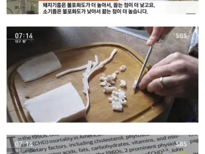 돼지고기 비계가 건강에 좋은 이유