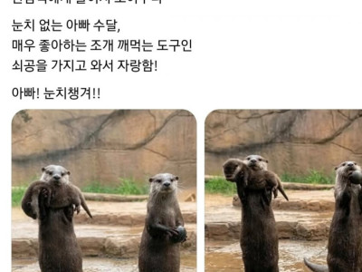 미국 샌디에이고 동물원의 눈치 없는 아빠 수달