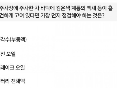운전면허 필기 근황