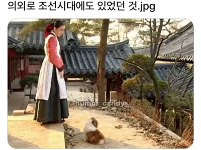 의외로 조선시대에 있었던 견종