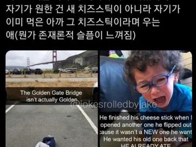 치즈스틱을 원했던 잼민이