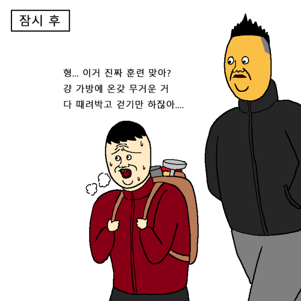 btd03488b90be86b9b6003862851974507.png