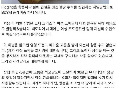 고대 그리스의 여자 노예 훈육법 ㄷㄷ