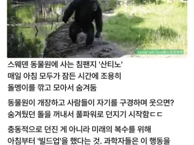 너무 똑똑한 동물의 최후
