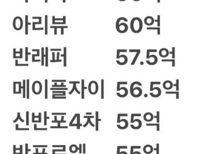 반포 아파트 국평 근황