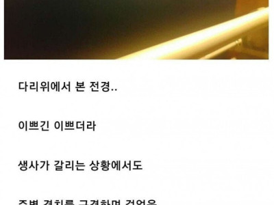 버스 잘못 내렸는데 고속도로에 갇힌 썰