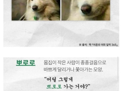 귀염뽀짝한 순수 우리말