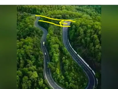 외국에서 유행했던 why 밈