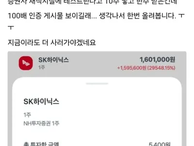 하이닉스 29000% 손익 인증