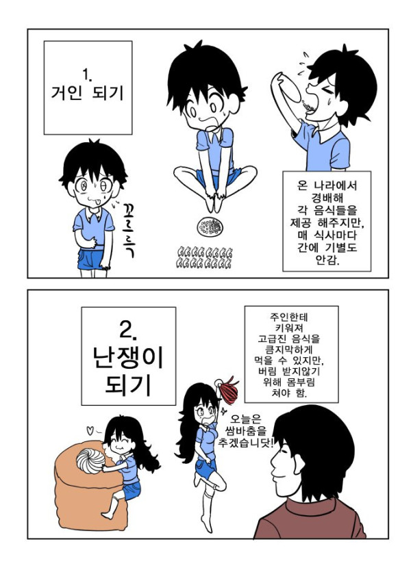bt4df79196fe914160bacfc20c5fc7867b.png
