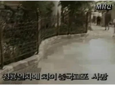 의외로 잘 모르는 롯데월드 개장 이후 최초의 사망사고