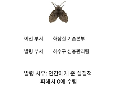 여름철 근무스케쥴 공지