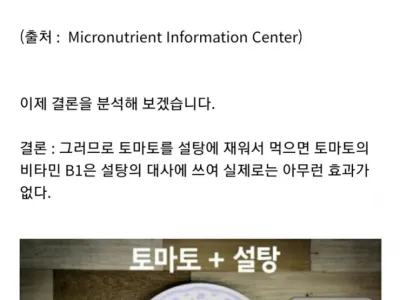토마토에 대한 대표적인 괴담