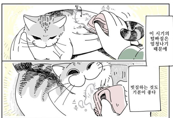 bt1c9b904dc1db4ee0e154df378331024f.png