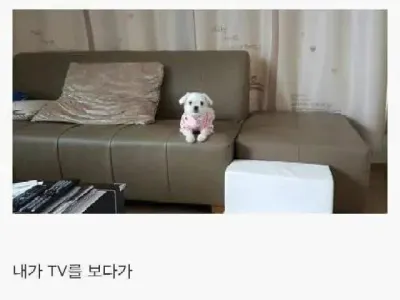 나만 바라봐 준다는 생명체