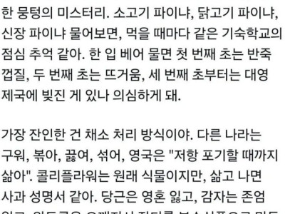 영국 음식에 대한 중국인의 감상