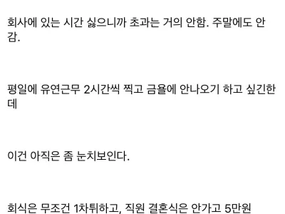 회사 대충 다니는 게 정신건강에 이롭다는 공무원