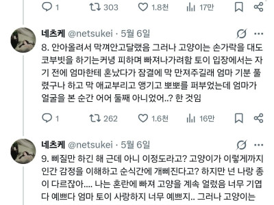 잠결에 고양이 헷갈린 사람