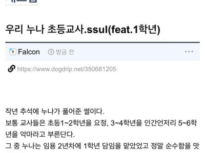 개드립 유저의 초등교사 누나 썰