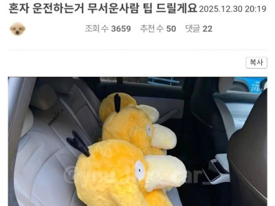 혼자 운전하는 게 무서운 사람들에게 팁