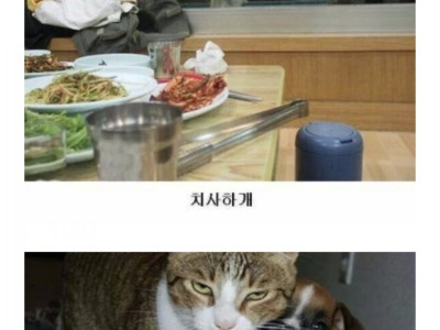 웃긴개