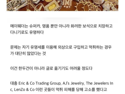 1조원 번 천재복서 메이웨더, 코인 사기꾼이 되다