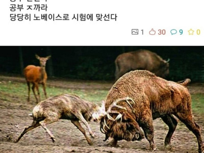사슴 공부법