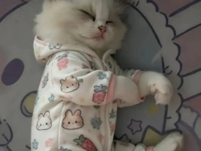 아기옷 버리기 아까워서