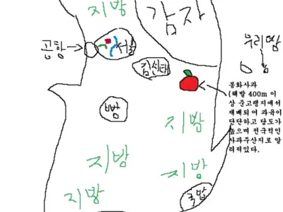 서울사람들이 생각하는 대한민국지도