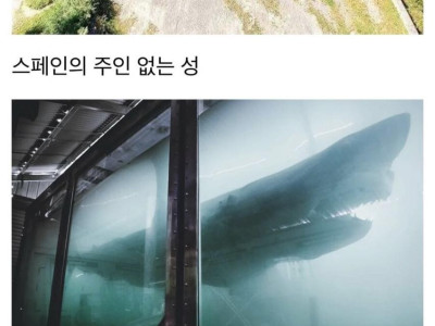 각 나라의 폐허 모음