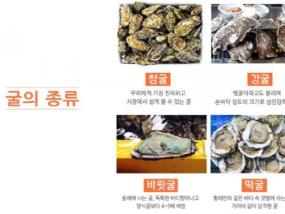 한국과 유럽산 굴은 종류가 다르다?
