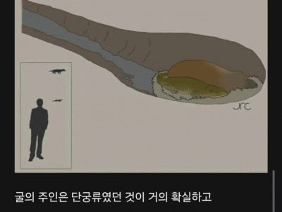 남아공에서 발견된 낭만 그 자체인 화석
